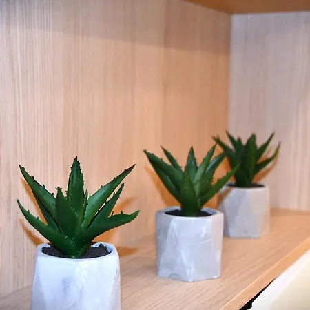 M-keys Old Town Kazimierz شقة كراكوفيا